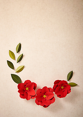 포토 JPG 스튜디오촬영 꽃 종이 나뭇잎 프레임 실내 사람없음 페이퍼아트 동백 종이꽃 국내포토 식물 잎 내부 파일형식