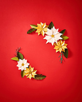 포토 JPG 스튜디오촬영 꽃 종이 나뭇잎 프레임 실내 사람없음 페이퍼아트 포인세티아 종이꽃 국내포토 식물 잎 내부 파일형식