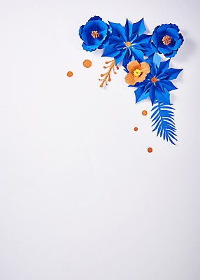 포토 JPG 스튜디오촬영 꽃 종이 나뭇잎 프레임 실내 사람없음 파란색 페이퍼아트 동백 포인세티아 종이꽃 국내포토 식물 컬러 잎 내부 파일형식