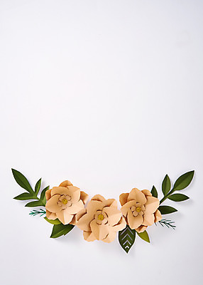 포토 JPG 스튜디오촬영 꽃 종이 나뭇잎 프레임 실내 사람없음 페이퍼아트 동백 종이꽃 국내포토 식물 잎 내부 파일형식