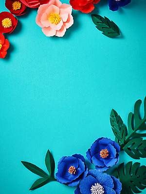 포토 JPG 스튜디오촬영 꽃 종이 나뭇잎 프레임 실내 사람없음 페이퍼아트 동백 종이꽃 국내포토 식물 잎 내부 파일형식