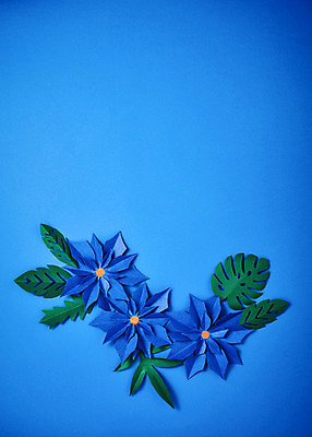 포토 JPG 스튜디오촬영 꽃 종이 나뭇잎 프레임 실내 사람없음 파란색 페이퍼아트 포인세티아 종이꽃 클래식블루 트렌드컬러 국내포토 식물 컬러 잎 내부 파일형식 트랜드컬러