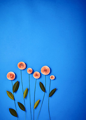 포토 JPG 스튜디오촬영 꽃 종이 나뭇잎 실내 사람없음 들꽃 페이퍼아트 종이꽃 국내포토 식물 잎 내부 파일형식