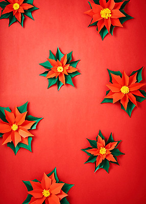 포토 JPG 스튜디오촬영 꽃 종이 패턴 나뭇잎 실내 사람없음 페이퍼아트 포인세티아 종이꽃 국내포토 식물 잎 무늬 내부 파일형식