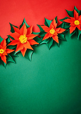 포토 JPG 스튜디오촬영 꽃 종이 나뭇잎 프레임 실내 사람없음 페이퍼아트 포인세티아 종이꽃 국내포토 식물 잎 내부 파일형식