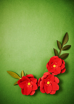 포토 JPG 스튜디오촬영 꽃 종이 나뭇잎 프레임 실내 사람없음 페이퍼아트 동백 종이꽃 국내포토 식물 잎 내부 파일형식