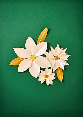 포토 JPG 스튜디오촬영 꽃 종이 나뭇잎 실내 사람없음 페이퍼아트 포인세티아 종이꽃 국내포토 식물 잎 내부 파일형식