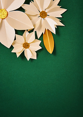 포토 식물 꽃 잎 실내 내부 파일형식 포인세티아 JPG 스튜디오촬영 종이 나뭇잎 프레임 사람없음 페이퍼아트 종이꽃 국내포토