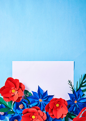 포토 식물 꽃 잎 실내 내부 파일형식 포인세티아 동백 JPG 스튜디오촬영 종이 나뭇잎 프레임 사람없음 페이퍼아트 종이꽃 국내포토