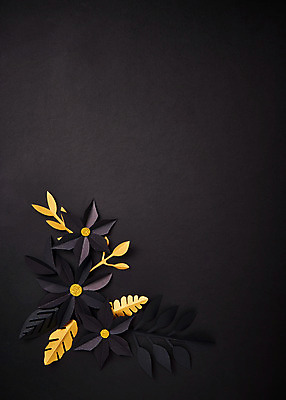 포토 JPG 스튜디오촬영 종이 프레임 실내 사람없음 검은색 금색 페이퍼아트 종이꽃 국내포토 꽃 컬러 내부 파일형식