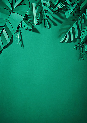 포토 JPG 스튜디오촬영 종이 나뭇잎 프레임 실내 사람없음 초록색 페이퍼아트 국내포토 컬러 잎 내부 파일형식