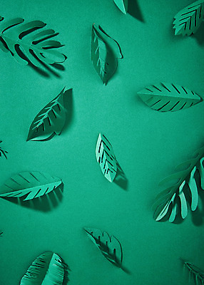 포토 JPG 스튜디오촬영 종이 패턴 나뭇잎 실내 사람없음 초록색 페이퍼아트 국내포토 컬러 잎 무늬 내부 파일형식