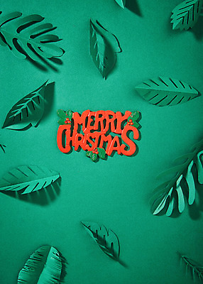 포토 JPG 스튜디오촬영 종이 패턴 나뭇잎 실내 사람없음 초록색 페이퍼아트 국내포토 컬러 잎 무늬 내부 파일형식