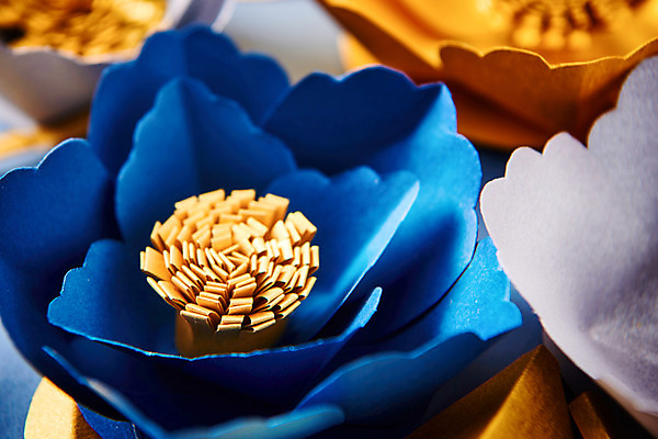 포토 JPG 스튜디오촬영 꽃 종이 나뭇잎 실내 근접촬영 사람없음 꽃술_꽃 페이퍼아트 종이꽃 국내포토 식물 뷰포인트 잎 내부 파일형식