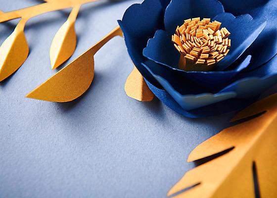 포토 JPG 스튜디오촬영 꽃 종이 나뭇잎 실내 근접촬영 사람없음 꽃술_꽃 페이퍼아트 종이꽃 국내포토 식물 뷰포인트 잎 내부 파일형식