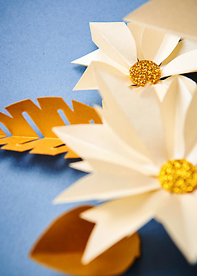 포토 JPG 스튜디오촬영 꽃 종이 나뭇잎 실내 근접촬영 사람없음 아웃포커스 페이퍼아트 종이꽃 국내포토 식물 뷰포인트 잎 촬영기법 내부 파일형식