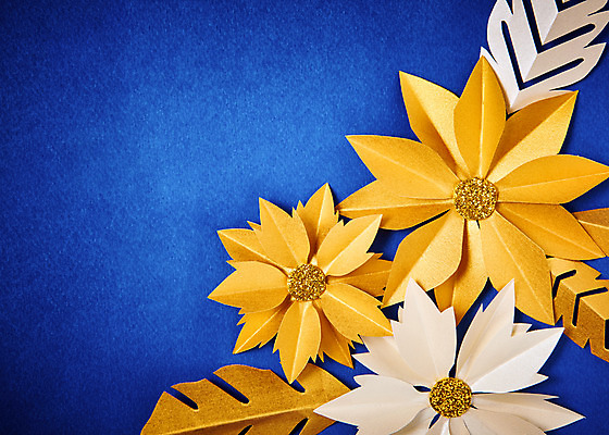 포토 JPG 스튜디오촬영 꽃 종이 나뭇잎 실내 사람없음 페이퍼아트 포인세티아 종이꽃 국내포토 식물 잎 내부 파일형식