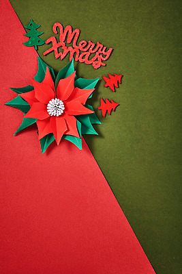 포토 JPG 스튜디오촬영 꽃 종이 나뭇잎 프레임 실내 사람없음 크리스마스트리 페이퍼아트 포인세티아 종이꽃 국내포토 식물 잎 크리스마스 내부 파일형식