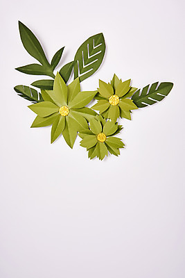 포토 JPG 스튜디오촬영 꽃 종이 나뭇잎 프레임 실내 사람없음 초록색 페이퍼아트 포인세티아 종이꽃 국내포토 식물 컬러 잎 내부 파일형식