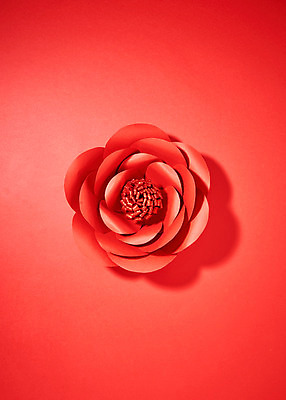 포토 JPG 스튜디오촬영 꽃 종이 실내 사람없음 빨간색 페이퍼아트 동백 종이꽃 국내포토 식물 컬러 내부 파일형식