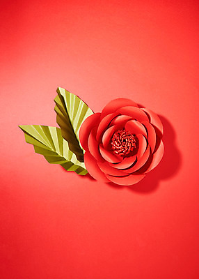 포토 JPG 스튜디오촬영 꽃 종이 나뭇잎 실내 사람없음 빨간색 페이퍼아트 동백 종이꽃 국내포토 식물 컬러 잎 내부 파일형식