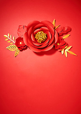 포토 JPG 스튜디오촬영 꽃 종이 나뭇잎 프레임 실내 사람없음 빨간색 페이퍼아트 동백 종이꽃 국내포토 식물 컬러 잎 내부 파일형식