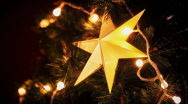 포토 JPG 스튜디오촬영 별 종이 전구 실내 사람없음 크리스마스트리 페이퍼아트 종이꽃 국내포토 자연요소 꽃 크리스마스 내부 파일형식