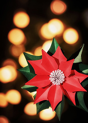 포토 JPG 스튜디오촬영 꽃 종이 나뭇잎 실내 사람없음 아웃포커스 빛 페이퍼아트 포인세티아 종이꽃 국내포토 식물 잎 촬영기법 내부 파일형식