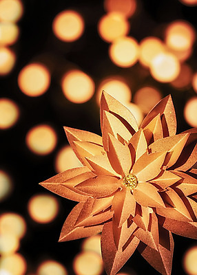 포토 JPG 스튜디오촬영 종이 조명 눈꽃 실내 사람없음 아웃포커스 빛 금색 페이퍼아트 보케 포인세티아 종이꽃 국내포토 꽃 컬러 눈_날씨 촬영기법 내부 파일형식