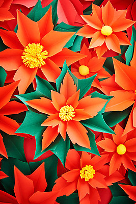 포토 JPG 스튜디오촬영 꽃 종이 나뭇잎 실내 근접촬영 사람없음 빨간색 페이퍼아트 포인세티아 종이꽃 국내포토 식물 뷰포인트 컬러 잎 내부 파일형식