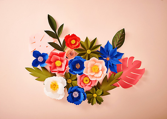 포토 JPG 스튜디오촬영 꽃 종이 나뭇잎 실내 사람없음 컬러풀 페이퍼아트 동백 포인세티아 종이꽃 국내포토 식물 컬러 잎 내부 파일형식