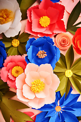 포토 JPG 스튜디오촬영 꽃 종이 나뭇잎 실내 근접촬영 사람없음 컬러풀 페이퍼아트 동백 포인세티아 종이꽃 국내포토 식물 뷰포인트 컬러 잎 내부 파일형식