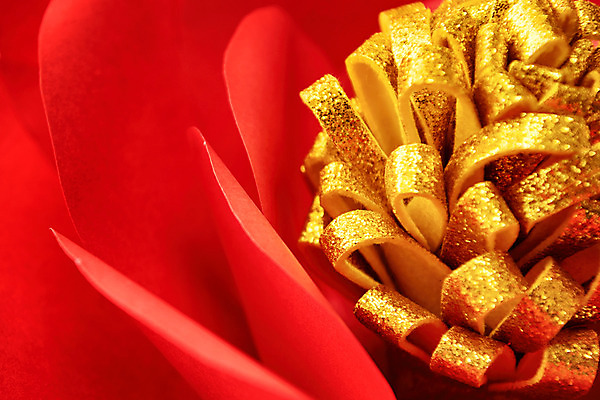 포토 JPG 스튜디오촬영 꽃 종이 실내 사람없음 빨간색 금색 꽃술_꽃 페이퍼아트 동백 종이꽃 국내포토 식물 컬러 내부 파일형식