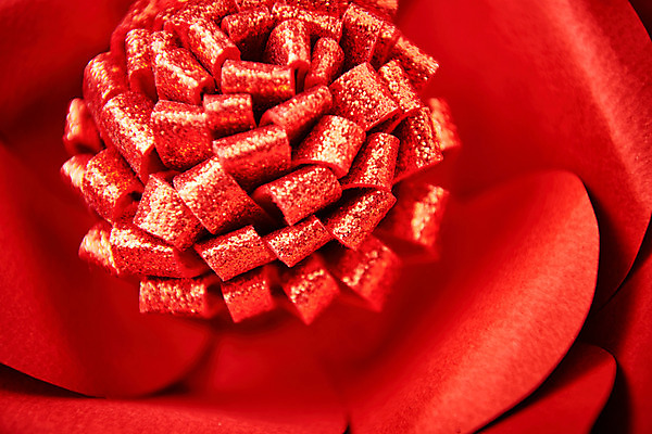 포토 JPG 스튜디오촬영 꽃 종이 실내 근접촬영 사람없음 빨간색 수술 페이퍼아트 동백 종이꽃 국내포토 식물 뷰포인트 컬러 의학 내부 치료 파일형식