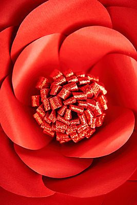 포토 JPG 스튜디오촬영 꽃 종이 실내 근접촬영 사람없음 빨간색 수술 페이퍼아트 동백 종이꽃 국내포토 식물 뷰포인트 컬러 의학 내부 치료 파일형식