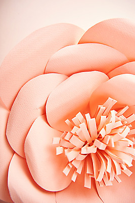 포토 JPG 스튜디오촬영 꽃 종이 분홍색 실내 근접촬영 사람없음 수술 페이퍼아트 동백 종이꽃 국내포토 식물 뷰포인트 컬러 의학 내부 치료 파일형식