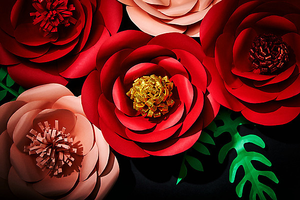 포토 JPG 스튜디오촬영 꽃 종이 분홍색 나뭇잎 실내 근접촬영 사람없음 빨간색 페이퍼아트 동백 종이꽃 국내포토 식물 뷰포인트 컬러 잎 내부 파일형식