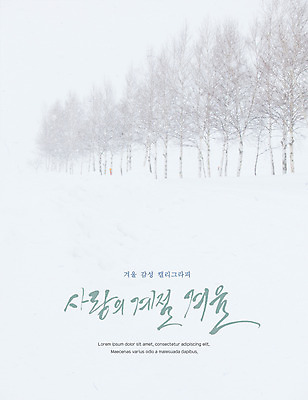 PSD 나무 포스터 겨울 일러스트 캘리그라피 사람없음 눈 감성 국내일러스트 자연요소 식물 계절 컨셉 날씨 파일형식