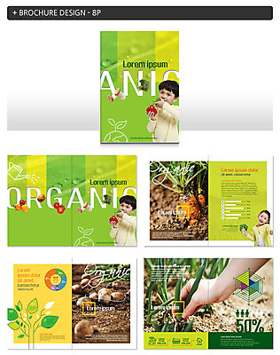 템플릿 여자 남자 ZIP 어린이 채소 그래프 나뭇잎 감자 파프리카 서기 웃음 팜플렛 상반신 앞모습 신체부위 세명 흙 당근 한국인 유기농 파 인디자인 INDD 이미지템플릿 웰빙 뷰포인트 잎 모션 뿌리채소 표정 사람 동양인 파일형식