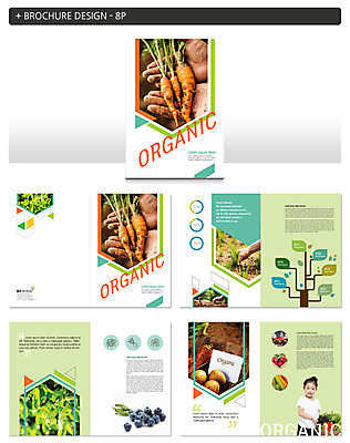 도형 나무 템플릿 손 여자 ZIP 어린이 채소 나뭇잎 감자 한명 서기 웃음 팜플렛 상반신 앞모습 신체부위 흙 당근 한국인 유기농 블루베리 파 인디자인 INDD 이미지템플릿 식물 1 웰빙 뷰포인트 잎 과일 모션 뿌리채소 표정 사람 동양인 파일형식