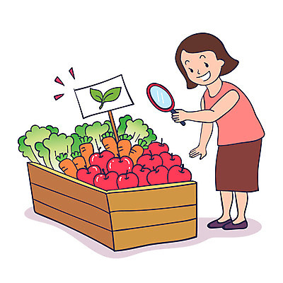 전신 웰빙 여자 채소 일러스트 돋보기 한명 성인 새싹 자연보호 당근 신선 사과 배추 친환경 유기농 주부 안티케미컬 국내일러스트 AI파일 식물 1 과일 자연 뿌리채소 사람 환경 보호 파일형식 벡터