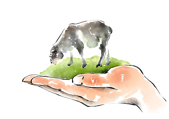 PSD 동물 한마리 손 일러스트 캘리그라피 한손 한명 안전 신체부위 가축 보호 유기농 번짐 국내일러스트 1 웰빙 컨셉 사람 파일형식 효과