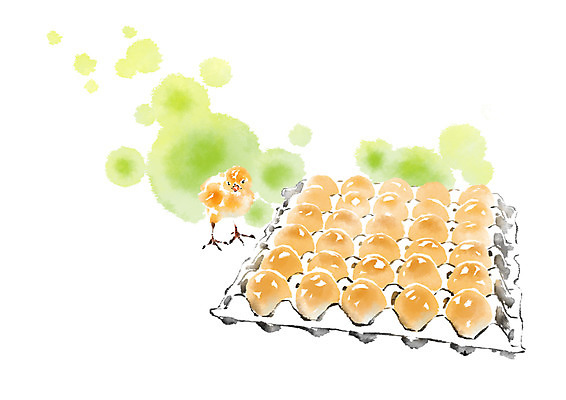 PSD 동물 한마리 일러스트 캘리그라피 병아리 안전 사람없음 계란 가축 유기농 번짐 계란판 국내일러스트 1 웰빙 조류 알 파일형식 효과