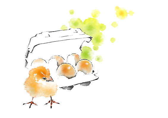 PSD 동물 한마리 일러스트 캘리그라피 병아리 안전 사람없음 계란 가축 유기농 번짐 계란판 국내일러스트 1 웰빙 조류 알 파일형식 효과