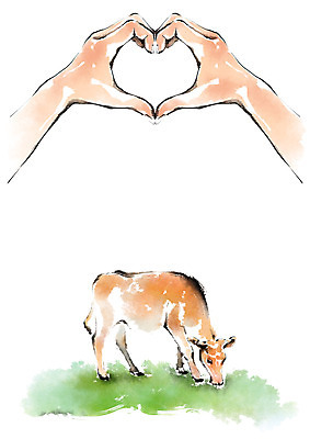 PSD 동물 한마리 손 일러스트 캘리그라피 한명 안전 신체부위 가축 양손 하트 소 유기농 송아지 손하트 국내일러스트 모양 1 웰빙 새끼 포유류 사람 손짓 파일형식