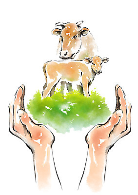 PSD 동물 손 두마리 일러스트 캘리그라피 한명 안전 신체부위 가축 양손 소 보호 유기농 송아지 국내일러스트 1 웰빙 새끼 컨셉 2 포유류 사람 파일형식