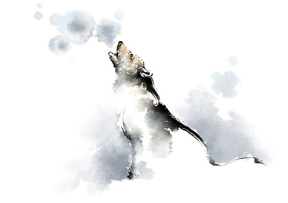 PSD 동물 한마리 야생동물 일러스트 캘리그라피 사람없음 울음 맹수 번짐 늑대 포효 국내일러스트 1 포유류 표정 외침 파일형식 효과