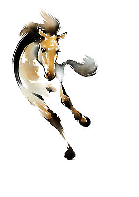 PSD 동물 한마리 일러스트 캘리그라피 사람없음 달리기 말_동물 국내일러스트 1 포유류 모션 파일형식