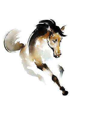 PSD 동물 한마리 일러스트 캘리그라피 사람없음 달리기 말_동물 국내일러스트 1 포유류 모션 파일형식