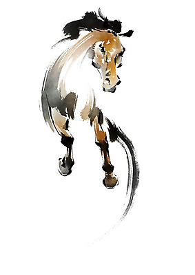 PSD 동물 한마리 일러스트 캘리그라피 사람없음 달리기 말_동물 국내일러스트 1 포유류 모션 파일형식